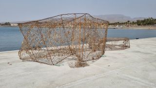 2024-03-Playa_La_Caleta-015.jpg